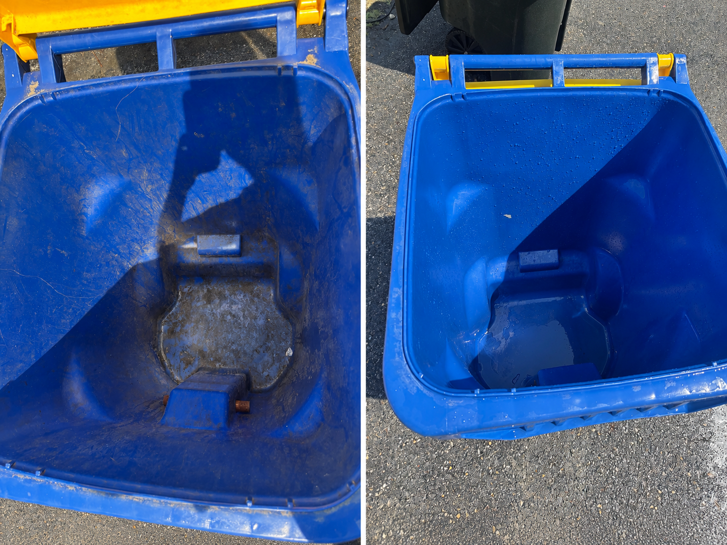 Trash Can Cleaning in Lewes, DE